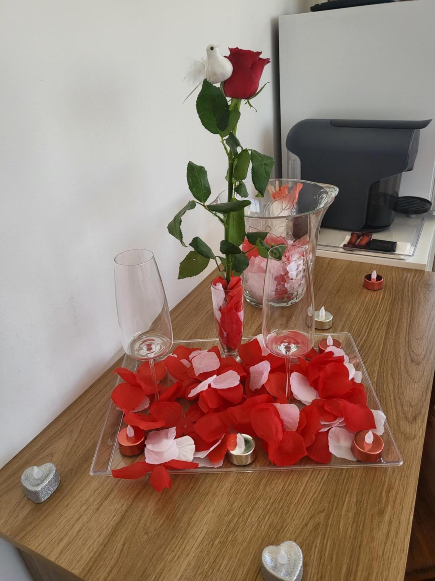 A Minha Alegre Casinha Διαμέρισμα Αβέιρο Εξωτερικό φωτογραφία